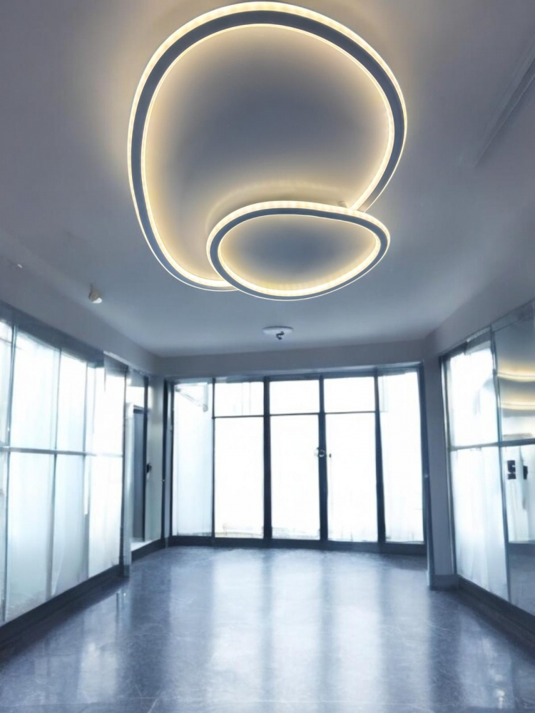 Aplica - plafoniera LED, lumina rece, calda, neutra, AVI-4684 [4]