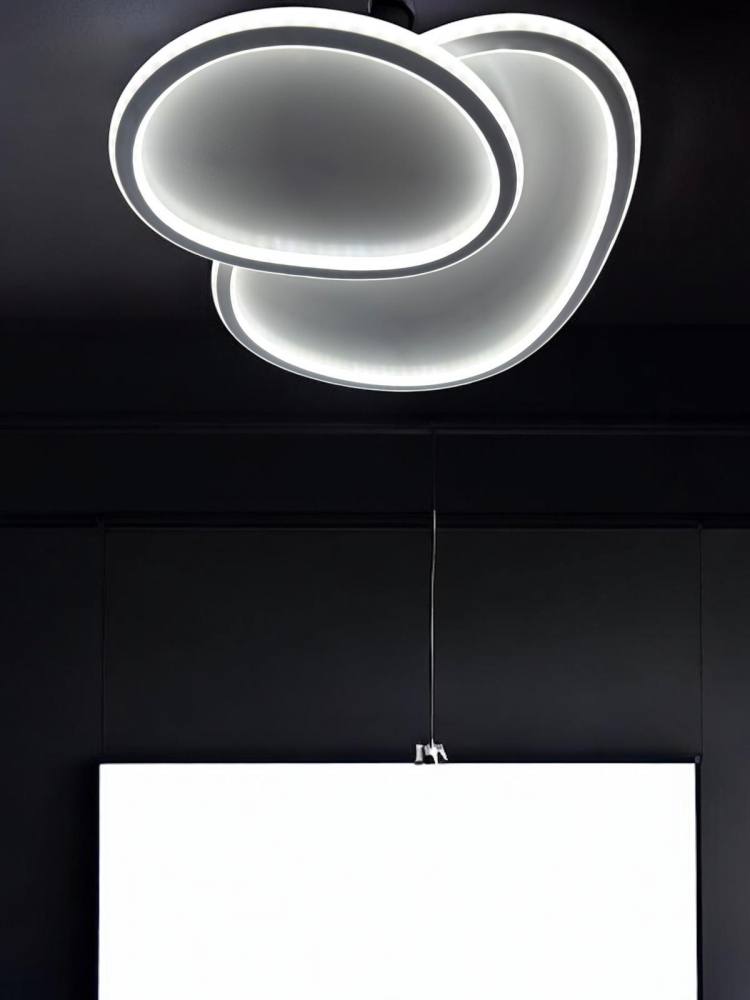 Aplica - plafoniera LED, lumina rece, calda, neutra, AVI-4684 [2]