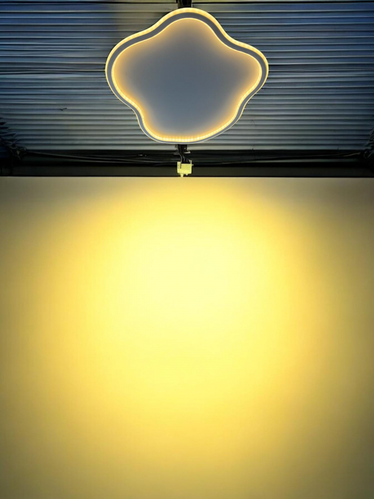 Aplica - plafoniera LED, lumina rece, calda, neutra 50.5 x 42.5 cm, AVI-4683 [4]