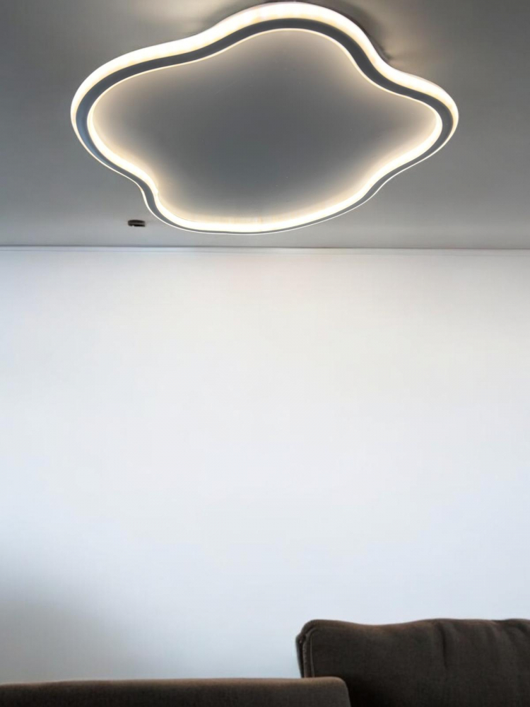 Aplica - plafoniera LED, lumina rece, calda, neutra 50.5 x 42.5 cm, AVI-4683 [2]