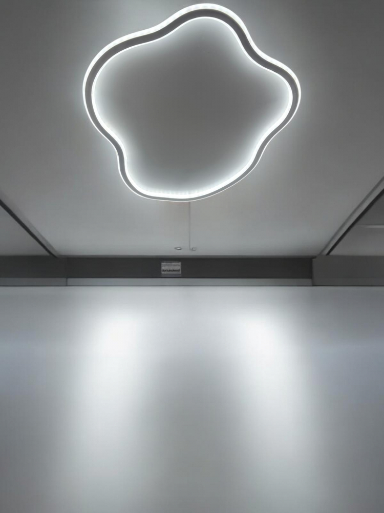 Aplica - plafoniera LED, lumina rece, calda, neutra 50.5 x 42.5 cm, AVI-4683 [3]
