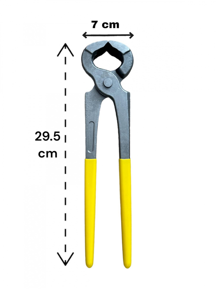 Cleste dulgher cap mare, 12" - 29.5 cm, AVI-3668 [4]
