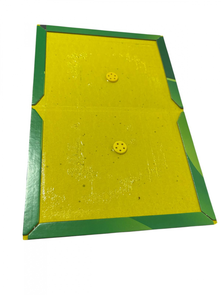 Set 5 buc capcana cu lipici pe carton pentru soareci, pliabile, tip carte, AVI-TS88 [2]