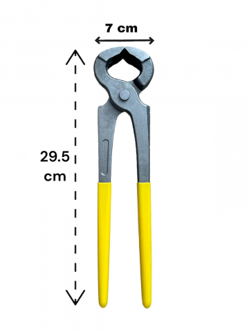 Cleste dulgher cap mare, 12" - 29.5 cm, AVI-3668 [3]