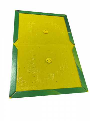 Set 5 buc capcana cu lipici pe carton pentru soareci, pliabile, tip carte, AVI-TS88 [1]
