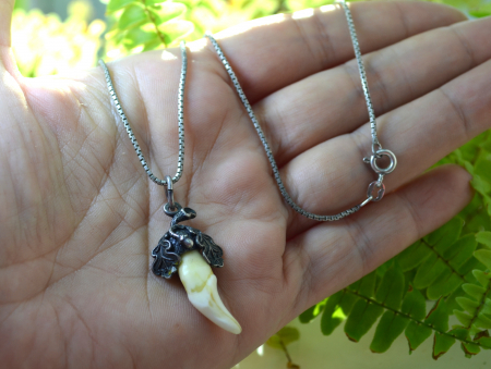 Lant argint cu pandant argint vechi, Charivari [1]