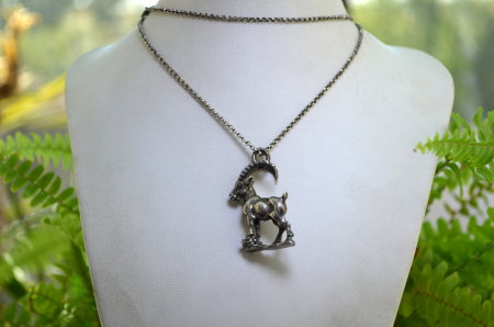 Lant argint lung cu pandant argint vintage, Capricorn [3]