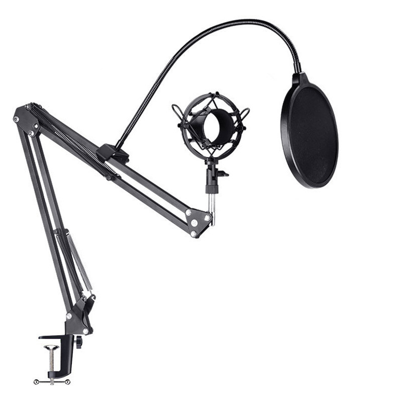 Filtru Pop pentru Microfon, Pânză Dublă, Reglabil, Anti-Zgomot, Ideal pentru Podcast, Streaming sau Gaming [6]