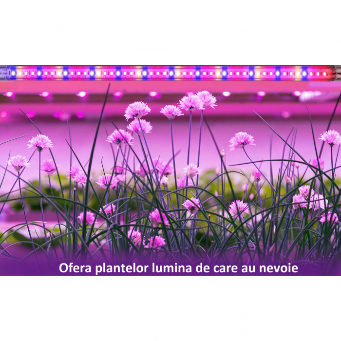 Kit 3 benzi LED pentru cresterea plantelor AxaCube®, 144 leduri, 22.5 W, 900 lumeni, IP44, timer, reglare culoare si intensitate luminoasa, telecomanda pe fir, alimentare USB [9]