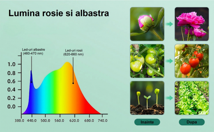 Lampa led cu 4 capete luminoase pentru cresterea plantelor AxaCube®, 35W, lumina rosie si albastra, 420 de LED-uri SMD 2835, control prin telecomanda pe fir, reglare intensitate luminoasa [7]