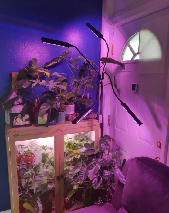 Lampa led cu 4 capete luminoase pentru cresterea plantelor AxaCube®, 35W, lumina rosie si albastra, 420 de LED-uri SMD 2835, control prin telecomanda, reglare intensitate luminoasa si inaltime stativ [9]