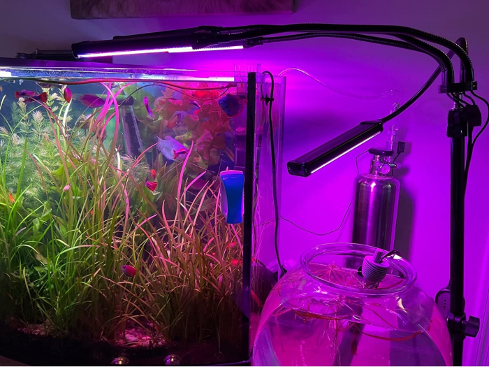 Lampa led cu 4 capete luminoase pentru cresterea plantelor AxaCube®, 35W, lumina rosie si albastra, 420 de LED-uri SMD 2835, control prin telecomanda, reglare intensitate luminoasa si inaltime stativ [11]