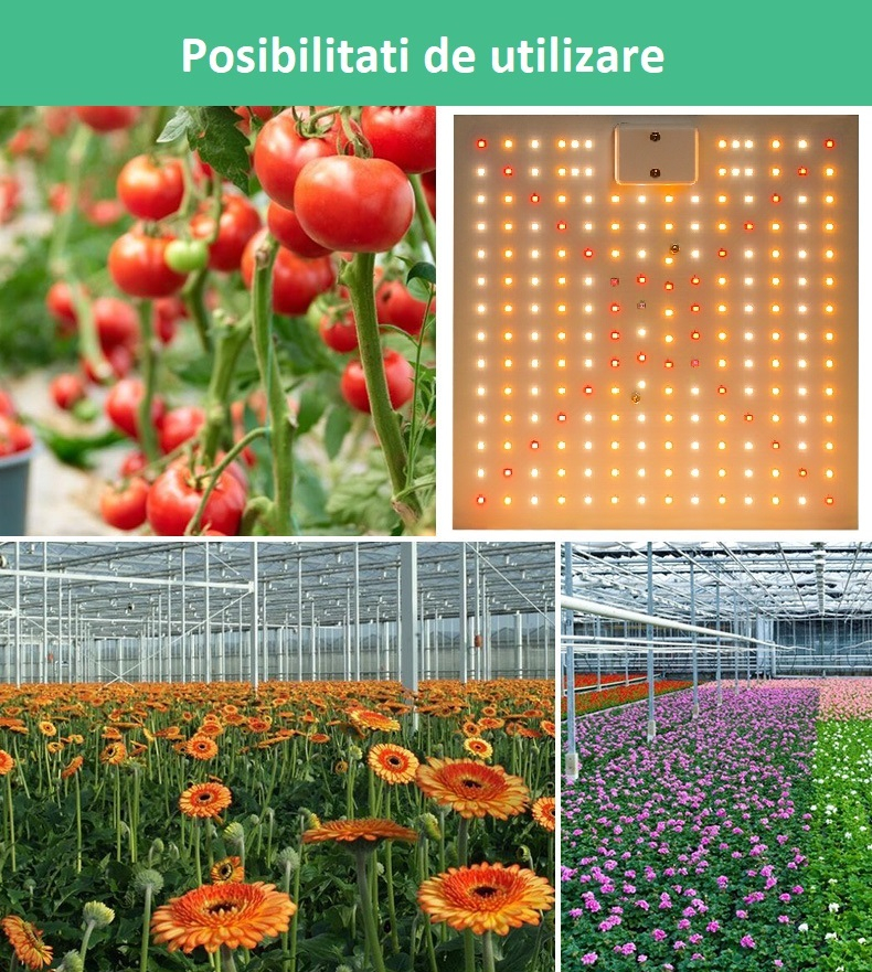 lampa crestere plante [7]