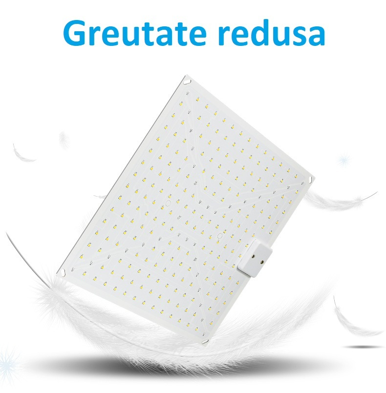 lampa crestere plante [4]