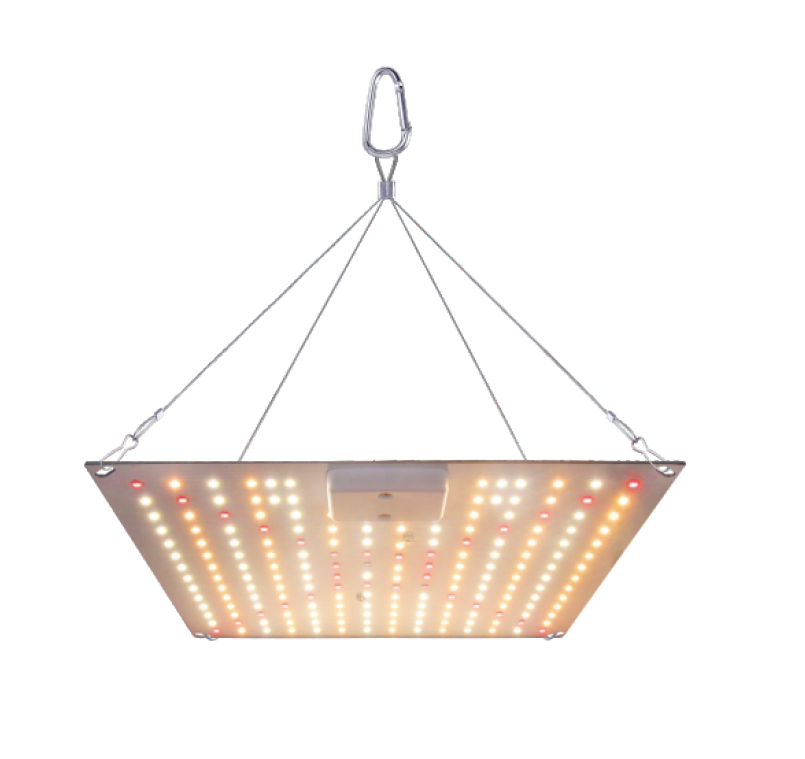 lampa crestere plante [3]