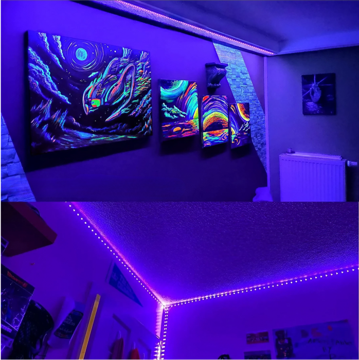 Set 2 benzi LED cu lumina UV AxaCube®, rezistente la apa IP65, LED SMD 2835, fixare prin lipire, 10 metri, 600 LED-uri, adaptor 12V inclus [4]