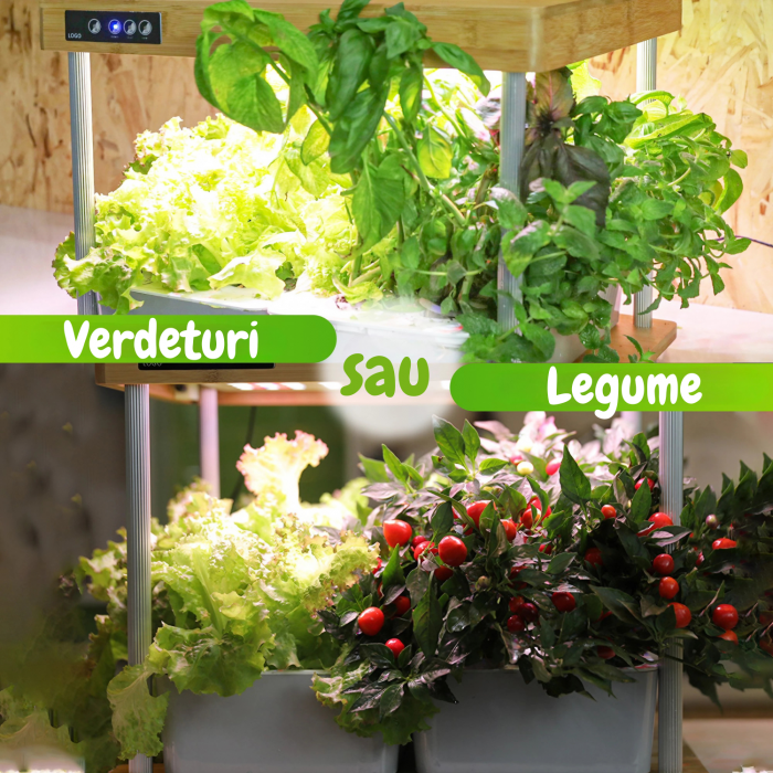 Set ghiveci hidroponic cu lampa led de crestere AxaCube, smart, 16 orificii plante, 3 cicluri de crestere, 2 ghivece 3.5 litri, suport din bambus, pompa oxigenare apa, 200 leduri, 36W, 47x37x38.5 cm [5]