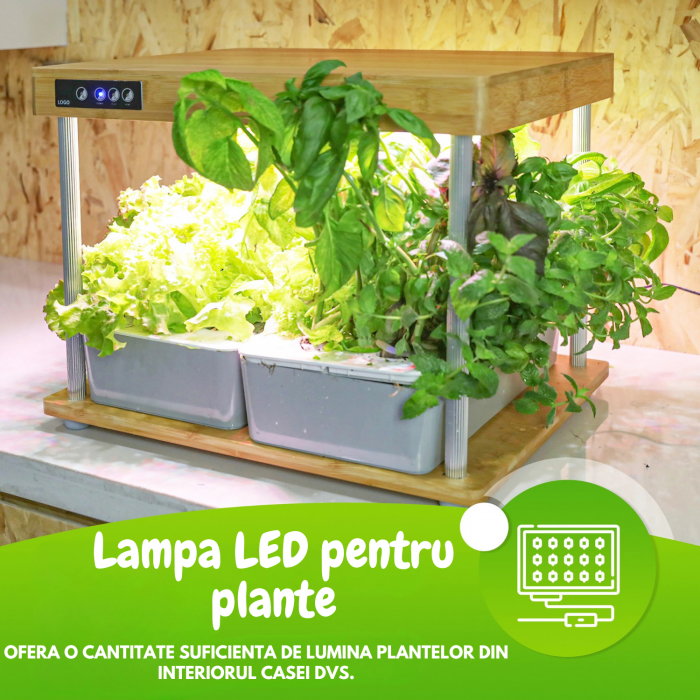 Set ghiveci hidroponic cu lampa led de crestere AxaCube, smart, 16 orificii plante, 3 cicluri de crestere, 2 ghivece 3.5 litri, suport din bambus, pompa oxigenare apa, 200 leduri, 36W, 47x37x38.5 cm [4]