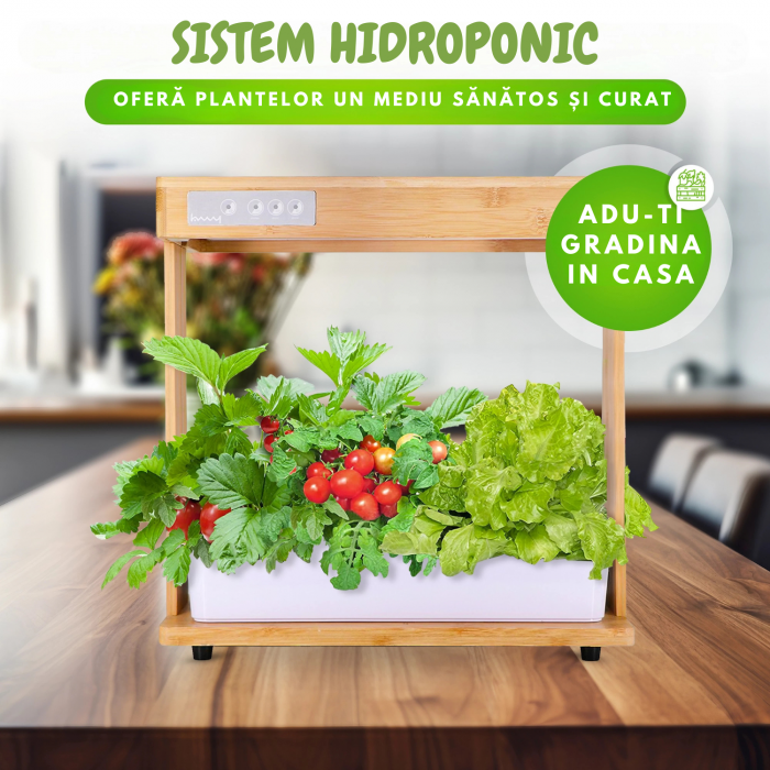 Set ghiveci hidroponic cu lampa led de crestere AxaCube, smart, 8 orificii plante, 3 cicluri de crestere, 3.5 litri, suport din bambus, pompa oxigenare apa, 100 leduri, 24W, 39x38x22 cm [2]