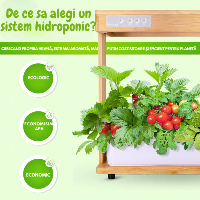Set ghiveci hidroponic cu lampa led de crestere AxaCube, smart, 8 orificii plante, 3 cicluri de crestere, 3.5 litri, suport din bambus, pompa oxigenare apa, 100 leduri, 24W, 39x38x22 cm [3]