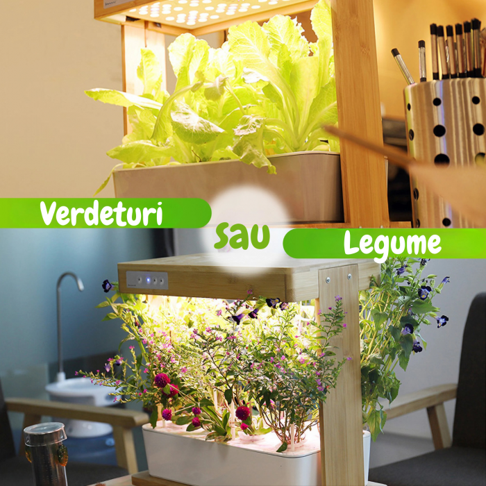 Set ghiveci hidroponic cu lampa led de crestere AxaCube, smart, 8 orificii plante, 3 cicluri de crestere, 3.5 litri, suport din bambus, pompa oxigenare apa, 100 leduri, 24W, 39x38x22 cm [6]