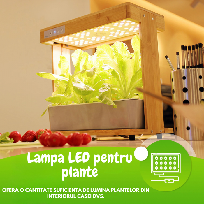 Set ghiveci hidroponic cu lampa led de crestere AxaCube, smart, 8 orificii plante, 3 cicluri de crestere, 3.5 litri, suport din bambus, pompa oxigenare apa, 100 leduri, 24W, 39x38x22 cm [4]