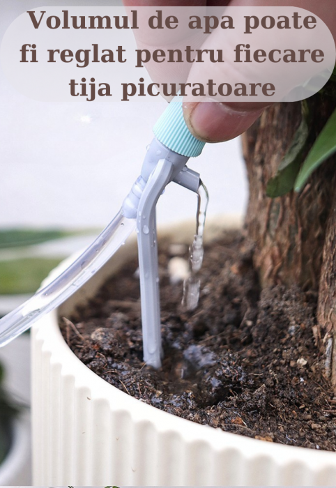 Sistem de irigare automat AxaCube pentru plante, WiFi 2.4 Ghz, set pentru 20 de ghivece, udare prin picurare, 2 pompe incorporate, temporizator, alimentare prin baterii sau conectare la retea [6]