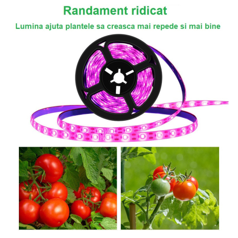 Banda led pentru cresterea plantelor, lumina roz-violet, rezistenta la apa, conectare usb, fixare prin lipire, 3 metri, 180 leduri [2]