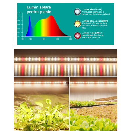 Kit 4 benzi LED pentru cresterea plantelor AxaCube®, 192 leduri, 30 W, 3200 lumeni, IP65, timer, reglare culoare si intensitate luminoasa, control prin telecomanda IR si pe fir, alimentare 12V [4]
