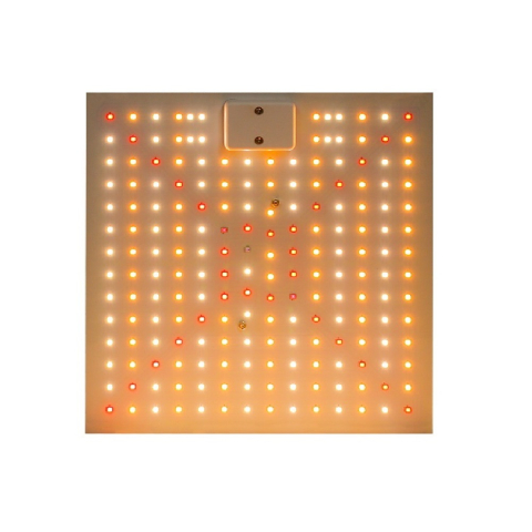 Ingrijire plante - lampa crestere plante