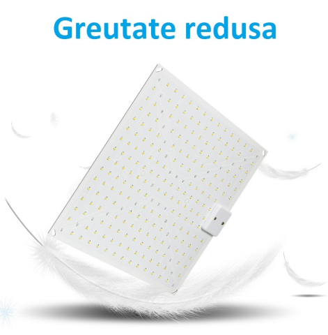 lampa crestere plante [3]