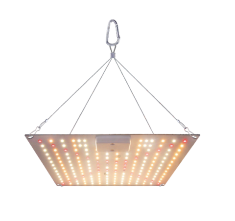 lampa crestere plante [2]