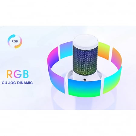 Microfon condensator AxaCube® pentru gaming, inregistrari, streaming, youtube, zoom, reducere zgomot fundal, functie mute, cardioid, lumina RGB, filtru pop, compatibil Windows, MacOS, PS4, PS5, conexi [2]