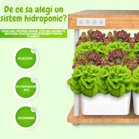 Set ghiveci hidroponic cu lampa led de crestere AxaCube, smart, 16 orificii plante, 3 cicluri de crestere, 2 ghivece 3.5 litri, suport din bambus, pompa oxigenare apa, 200 leduri, 36W, 47x37x38.5 cm [2]