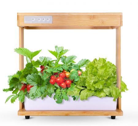 Ingrijire plante - Set ghiveci hidroponic cu lampa led de crestere AxaCube, smart, 8 orificii plante, 3 cicluri de crestere, 3.5 litri, suport din bambus, pompa oxigenare apa, 100 leduri, 24W, 39x38x22 cm