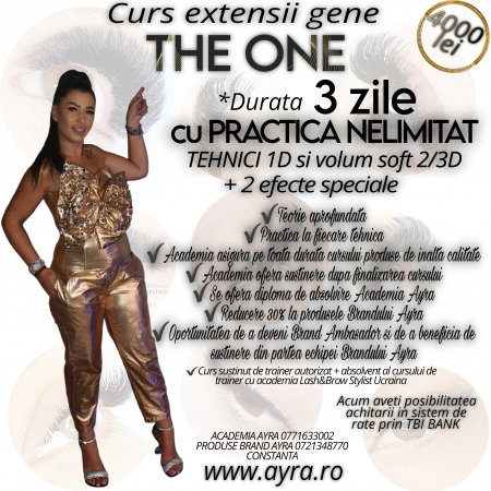 CURSURI - Curs THE ONE 1-3D
