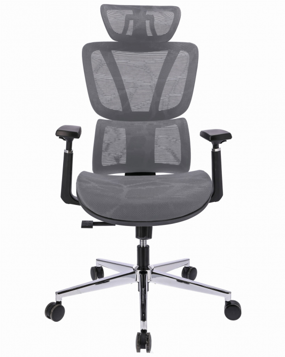 Scaun ergonomic NOVA - gri [1]