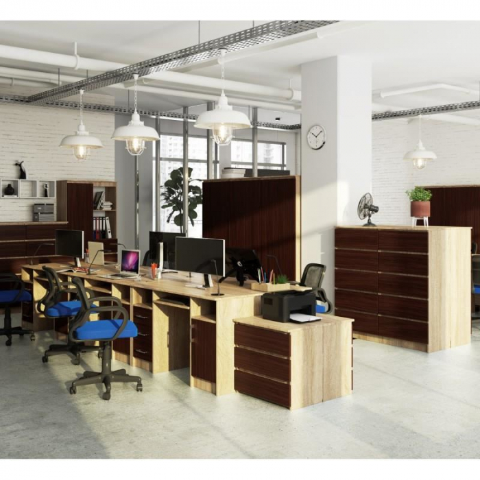 BIROU CALCULATOR, PLACA LAMINATA, 3 SERTARE, 5 RAFTURI, STEJAR SI WENGE, 124X52X74 CM, ANA [2]