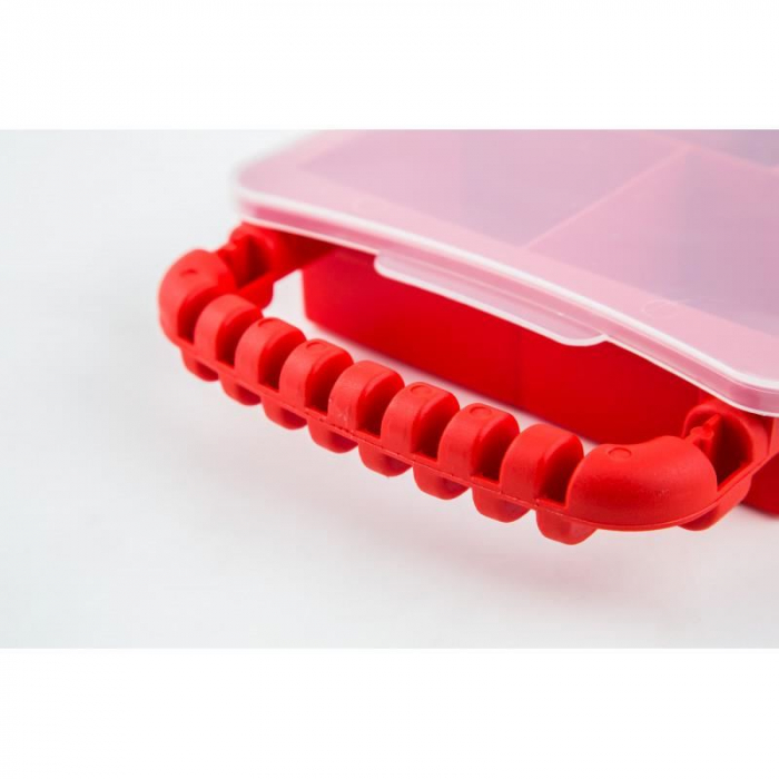 CUTIE CU ORGANIZATOR MINI, MANER, 3-8 COMPARTIMENTE, 31X18X5 CM, BEOROL [4]