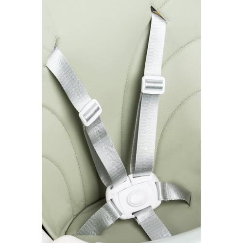 SCAUN DE MASA PENTRU BEBELUSI, 3 IN 1, VERDE, MAX 20 KG, 60X75X92 CM, KRUZZEL [9]