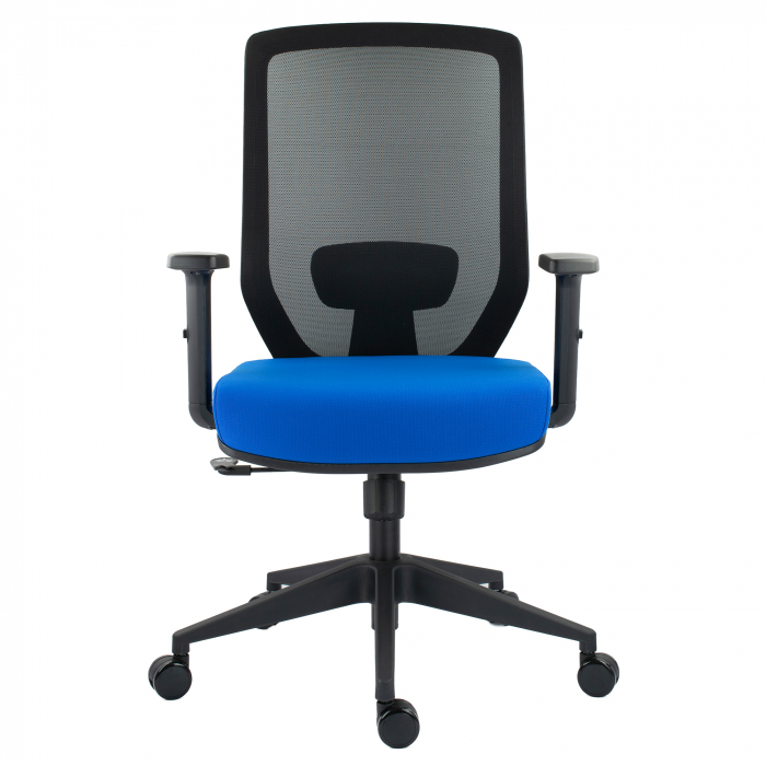 SCAUN ERGONOMIC JOJO, ALBASTRU [4]