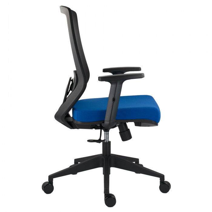 SCAUN ERGONOMIC JOJO, ALBASTRU [2]