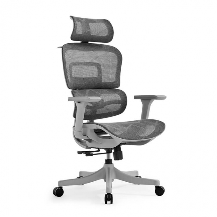 SCAUN ERGONOMIC KRIUS-H, GREY [1]