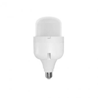 Becuri LED - BEC LED INDUSTRIAL T110 80W