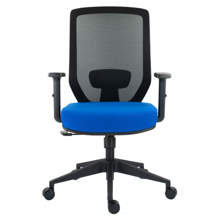 SCAUN ERGONOMIC JOJO, ALBASTRU [3]