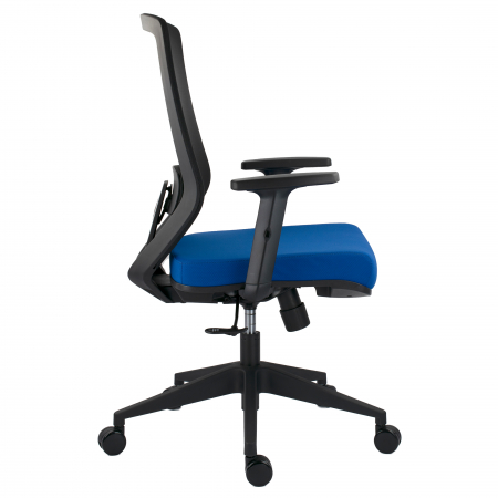 SCAUN ERGONOMIC JOJO, ALBASTRU [1]