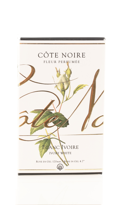 Parfumant camera Rose Bud White Peach Clear cu aranjament floral si 1 rezerva parfum [2]
