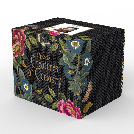Cana neagra CreaturesOfCuriosity [5]