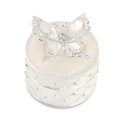 Cutie bijuterii cu fluture argintiu [1]