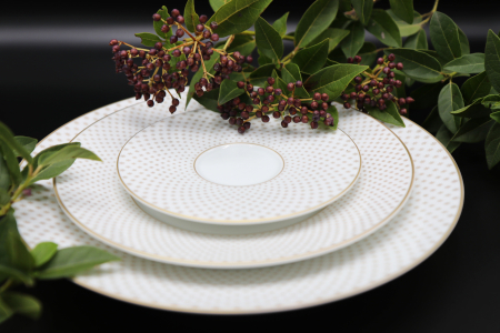 PORTELAN&GT;BRANDURI&GT;JL COQUET - Set masa din portelan de Limoges colectia Rosace – pentru 12 persoane